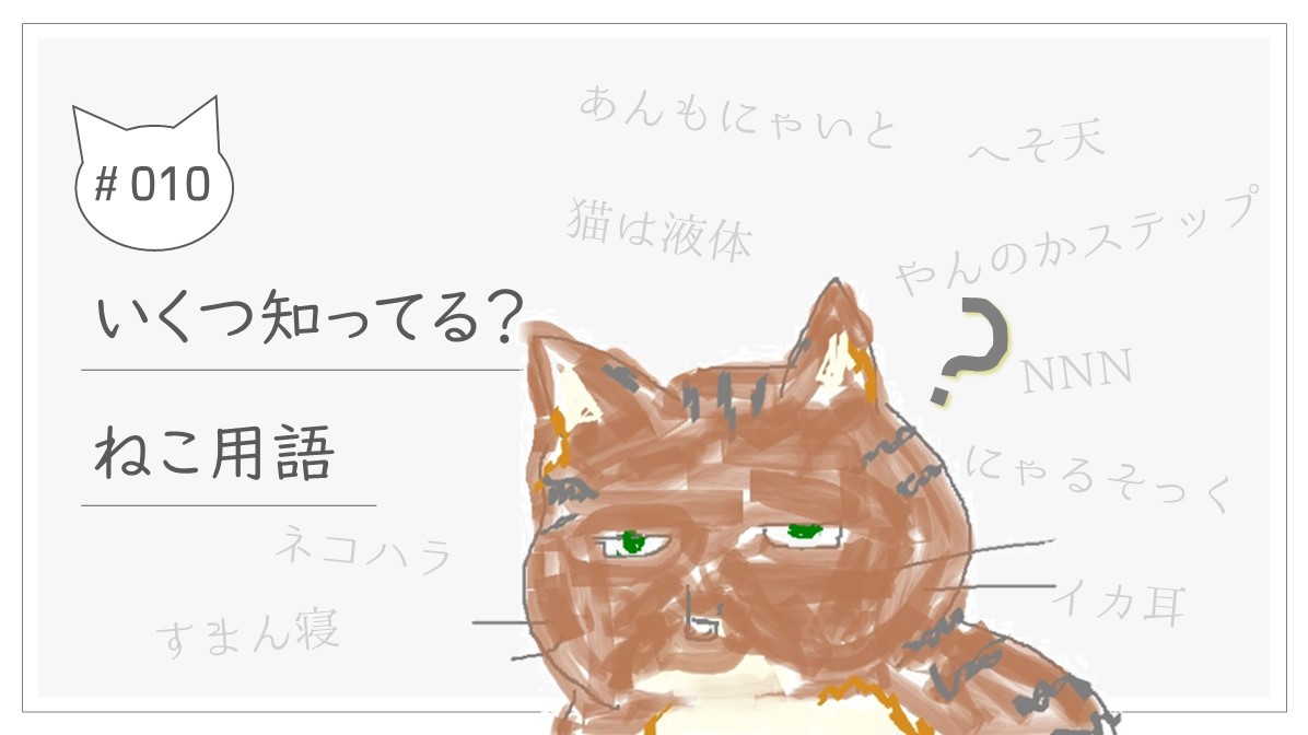 猫好きなら知っててあたりまえ？巷にあふれる猫用語をまとめてみた