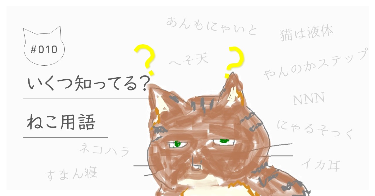 猫好きなら知っててあたりまえ？巷にあふれる猫用語をまとめてみた