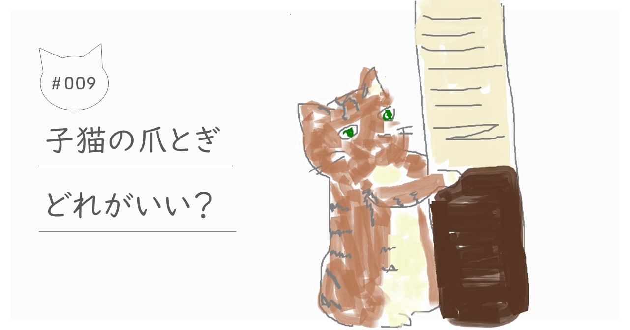 子猫の爪とぎデビュー